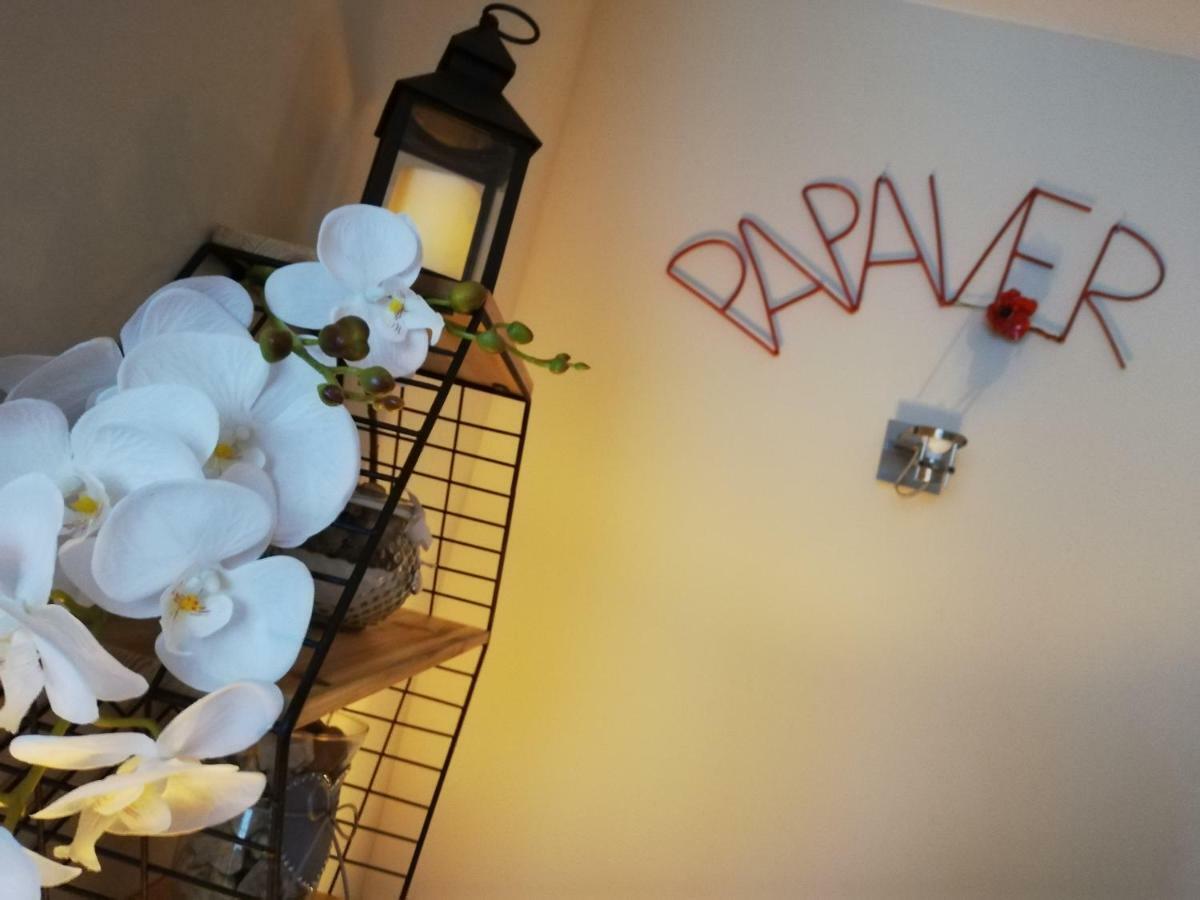 Papaver Apartament Zielona Góra Buitenkant foto
