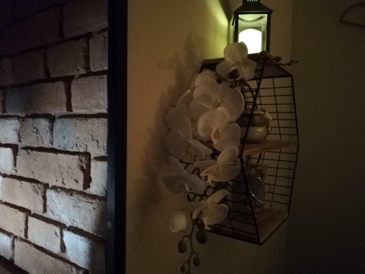 Papaver Apartament Zielona Góra Buitenkant foto
